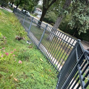 Flower Bed Weeding by Sandra Gutierrez reviewed on June 9, 2022