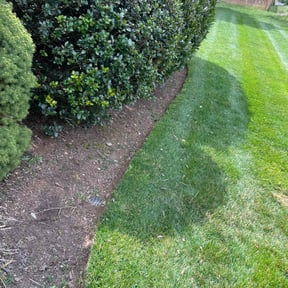 Flower Bed Weeding by MPV Landscaping reviewed on July 25, 2022