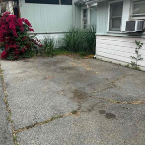 Leaf Removal by The Green Guys reviewed on May 29, 2025