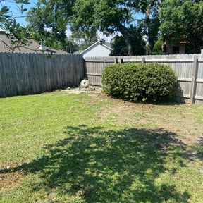 Bush Trimming by Gaston S Lawn Care reviewed on June 5, 2025
