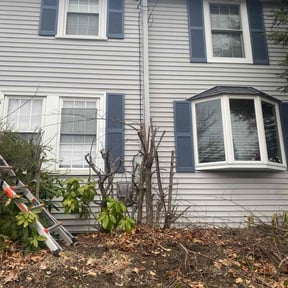 Bush Trimming by Tribiana lawn care reviewed on June 17, 2020