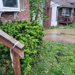 Bush Trimming by Independent Contractor reviewed on July 14, 2022