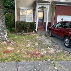 Bush Trimming by Royal Pro Lawn Management reviewed on June 8, 2020