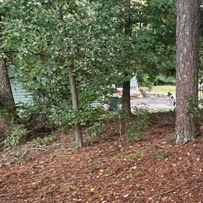 Cleanups by Tuttle&#039;s lawn reviewed on July 19, 2022