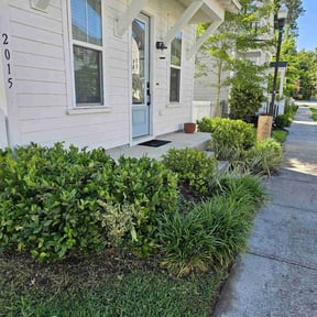 Bush Trimming by Caver Lawn Care reviewed on September 13, 2021