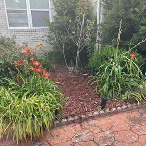Flower Bed Weeding by Veteran Roots reviewed on January 10, 2025