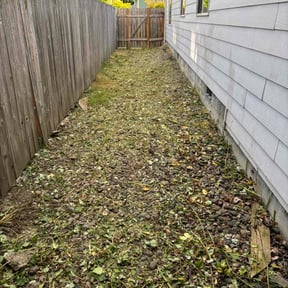 Cleanups by 20-20 Lawn Care reviewed on August 3, 2022