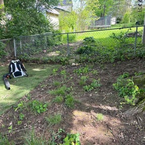 Leaf Removal by TruGreen LawnCare reviewed on June 11, 2025