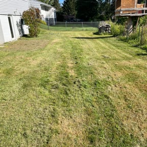 Cleanups by WestSide Landscaping reviewed on June 13, 2025