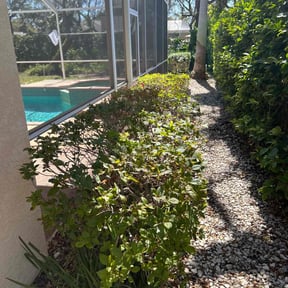 Bush Trimming by Residential maintenance reviewed on April 26, 2022