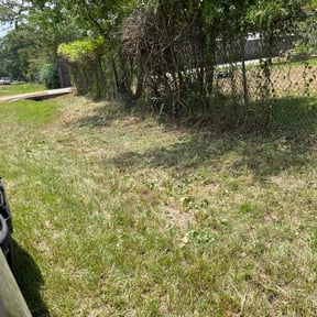 Bush Trimming by MartÃnez landscaping reviewed on September 14, 2024