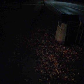 Leaf Removal by reviewed on October 4, 2022