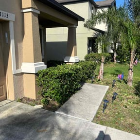Bush Trimming by Edward's Lawn Care reviewed on September 20, 2021