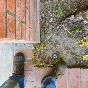 Leaf Removal by John Taylor reviewed on May 12, 2022
