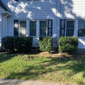 Bush Trimming by Z & H Landscaping reviewed on July 2, 2022