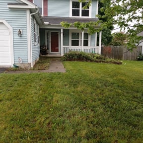 Bush Trimming by K’S Up landscaping reviewed on May 6, 2025