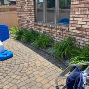 Weeding by Dabbic Lawn Care LLC reviewed on June 11, 2022