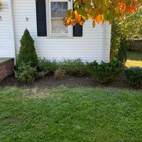 Flower Bed Weeding by Chuyin's Lawn Care LLC reviewed on May 26, 2022