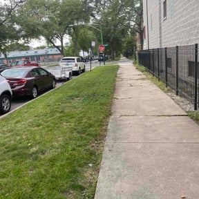 Cleanups by Serrano's House Care reviewed on June 8, 2022