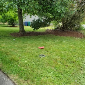 Flower Bed Weeding by Lawn Salon Property Management LLC reviewed on July 10, 2022