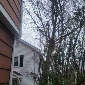 Bush Trimming by Perry’s Landscaping LLC reviewed on October 3, 2021