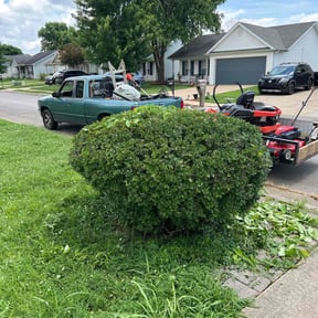 Bush Trimming by LawnStars mowing reviewed on May 20, 2022
