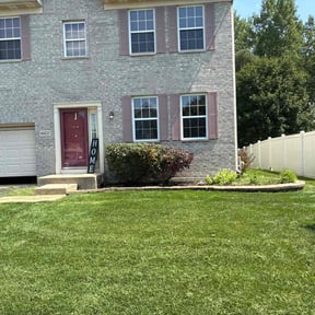 Bush Trimming by 3D GARDEN DESIGN and lawn care reviewed on November 13, 2024