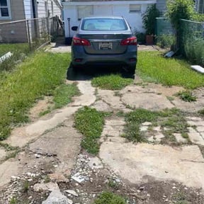 Bush Trimming by Scott Bensing Lawn Care reviewed on June 19, 2021