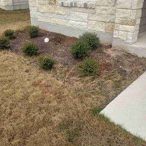 Flower Bed Weeding by Guevara Landscaping reviewed on March 21, 2025
