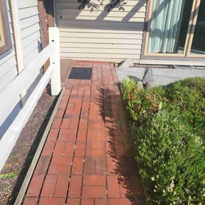 Bush Trimming by We do it all llc reviewed on May 2, 2025