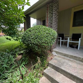 Bush Trimming by Scott Lawncare reviewed on June 2, 2022