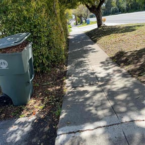 Bush Trimming by Star Vintage reviewed on May 21, 2025