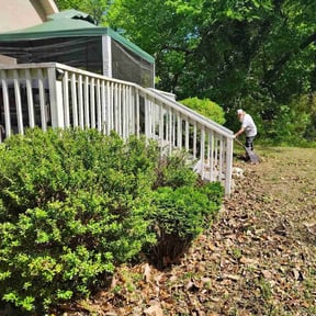 Bush Trimming by Lawnspire reviewed on June 18, 2022