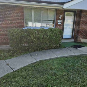 Bush Trimming by See Real Cuts reviewed on November 22, 2022