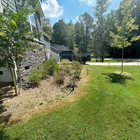 Bush Trimming by Electric Cut Lawn Care LLC reviewed on December 20, 2024