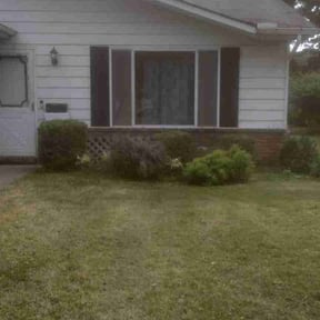 Bush Trimming by Taylor’d Lawn Experience reviewed on July 15, 2025