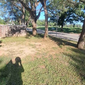Cleanups by Turbo Lawn Care reviewed on July 21, 2022