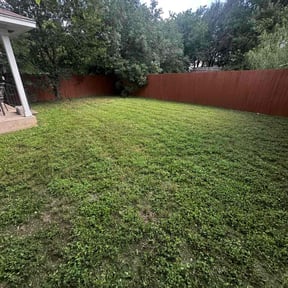 Cleanups by Chris’s Lawn Service reviewed on September 13, 2020