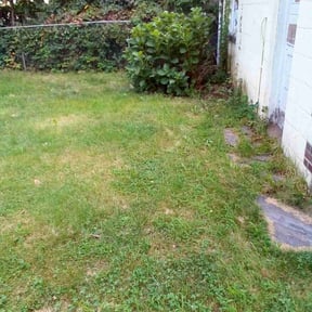 Bush Trimming by Nextdoor Lawn Services LLC reviewed on March 30, 2022