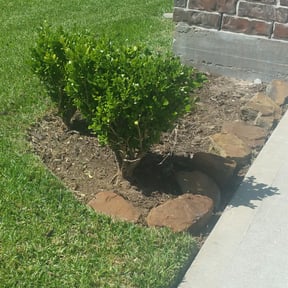 Flower Bed Weeding by David landscaping services reviewed on March 10, 2025