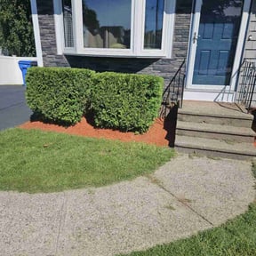 Bush Trimming by Lawn Patrol Landscaping LLC reviewed on February 24, 2022