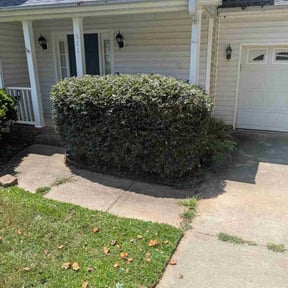 Bush Trimming by Edge Lawn Care reviewed on November 7, 2022