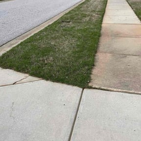 Leaf Removal by Stream Scene Landscaping reviewed on August 31, 2024