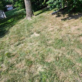 Leaf Removal by Surwillo Lawn & Landscaping reviewed on September 17, 2024