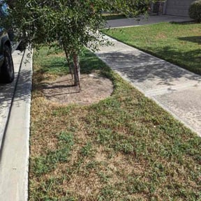 Flower Bed Weeding by Blue Lagoon Lawn Service reviewed on June 22, 2025