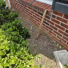 Flower Bed Weeding by Mlt lawns LLC reviewed on August 4, 2025