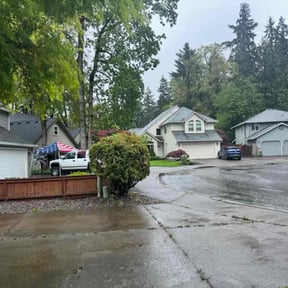 Bush Trimming by Rickys lawn care  reviewed on November 13, 2022