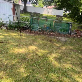 Leaf Removal by Chase property management and improvements llc reviewed on May 8, 2022