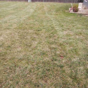 Leaf Removal by Keith Dalke reviewed on April 14, 2022