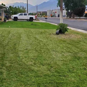Flower Bed Weeding by Johnny Shaw reviewed on June 9, 2022